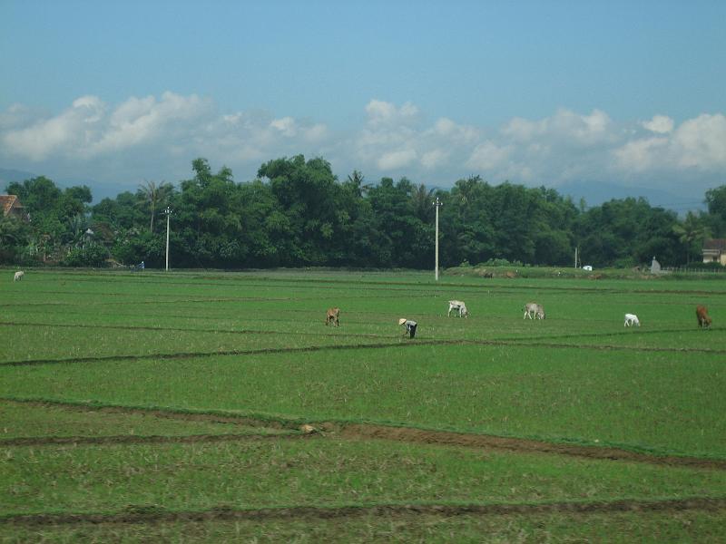 090060.JPG